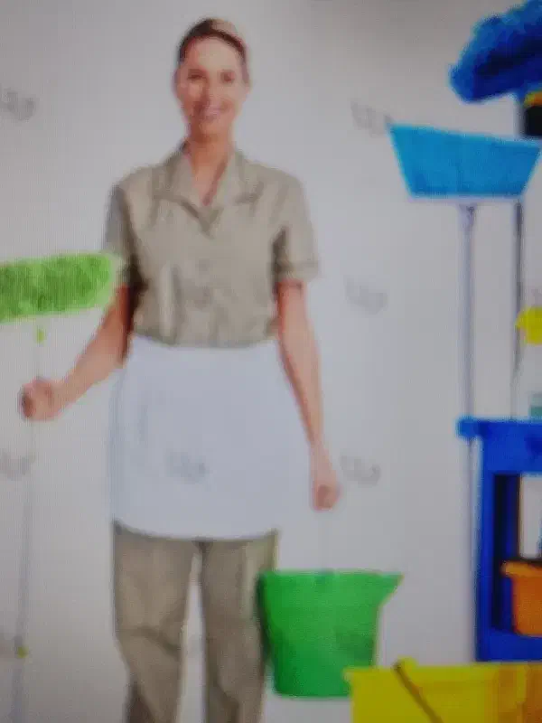 نظافت منزل|خدمات نظافت|حمیدیا, |دیوار