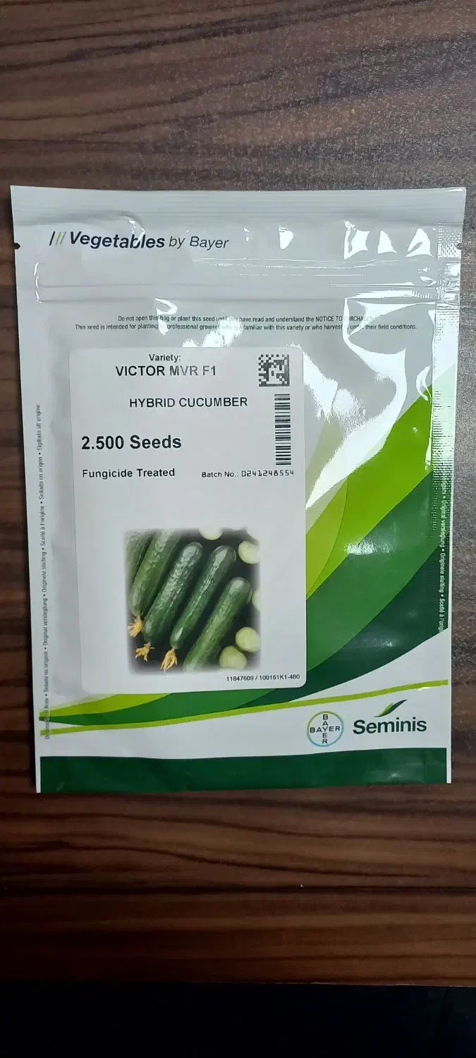 بذر خیار ویکتور خوش قیمت|خدمات باغبانی و درختکاری|جویبار, |دیوار