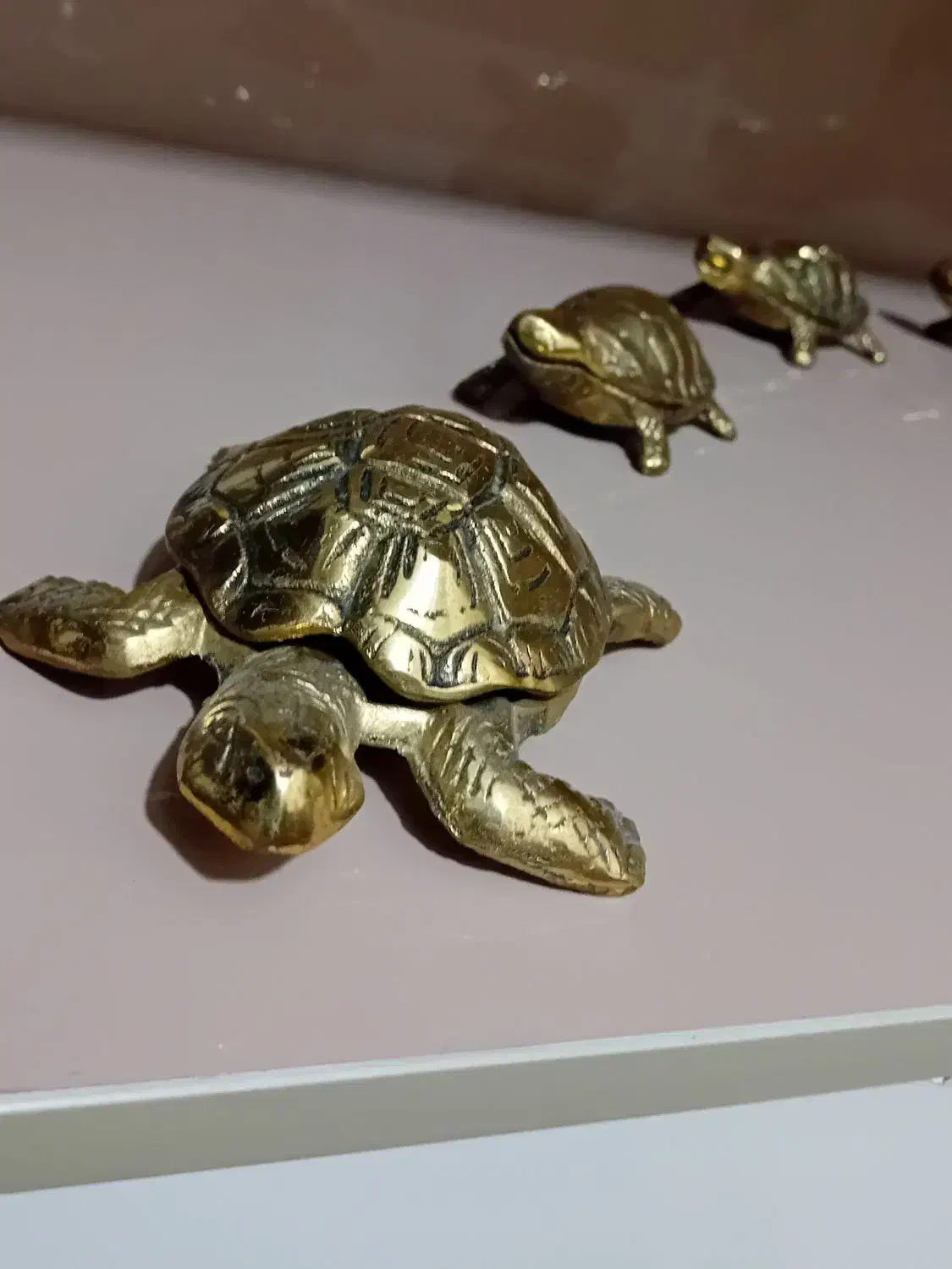 تزئین خانه|مجسمه، تندیس، ماکت|قائمشهر, |دیوار