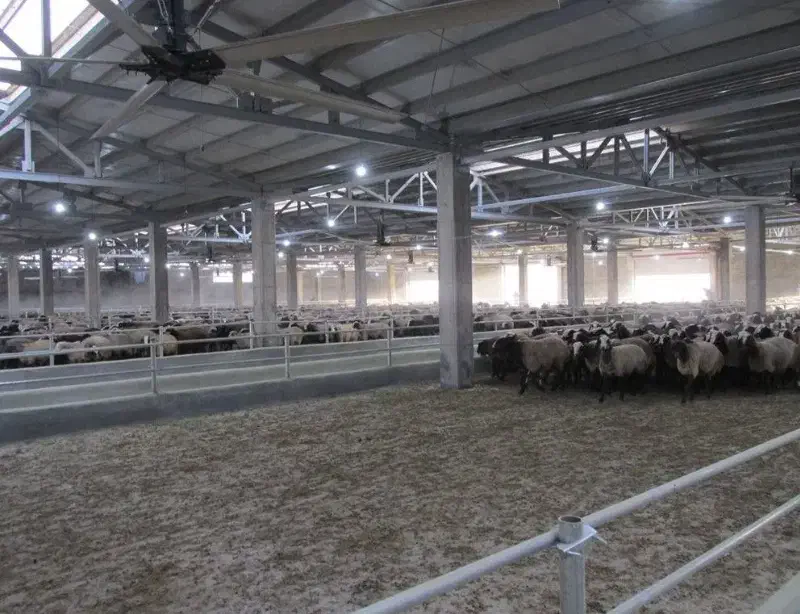 فروش دامداری|فروش دفتر صنعتی، کشاورزی، تجاری|اردبیل, |دیوار