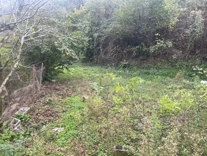 زمین ویلایی دربهارستان پشت باغ حافظ|فروش زمین و ملک کلنگی|آستارا, |دیوار