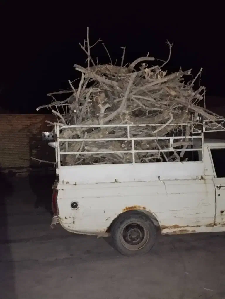 خریدارچوب پسته|خدمات باغبانی و درختکاری|کشکوئیه, |دیوار