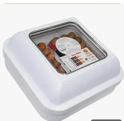 دستگاه جوجه کشی ایزی باتور 1|حیوانات مزرعه|ازنا, |دیوار