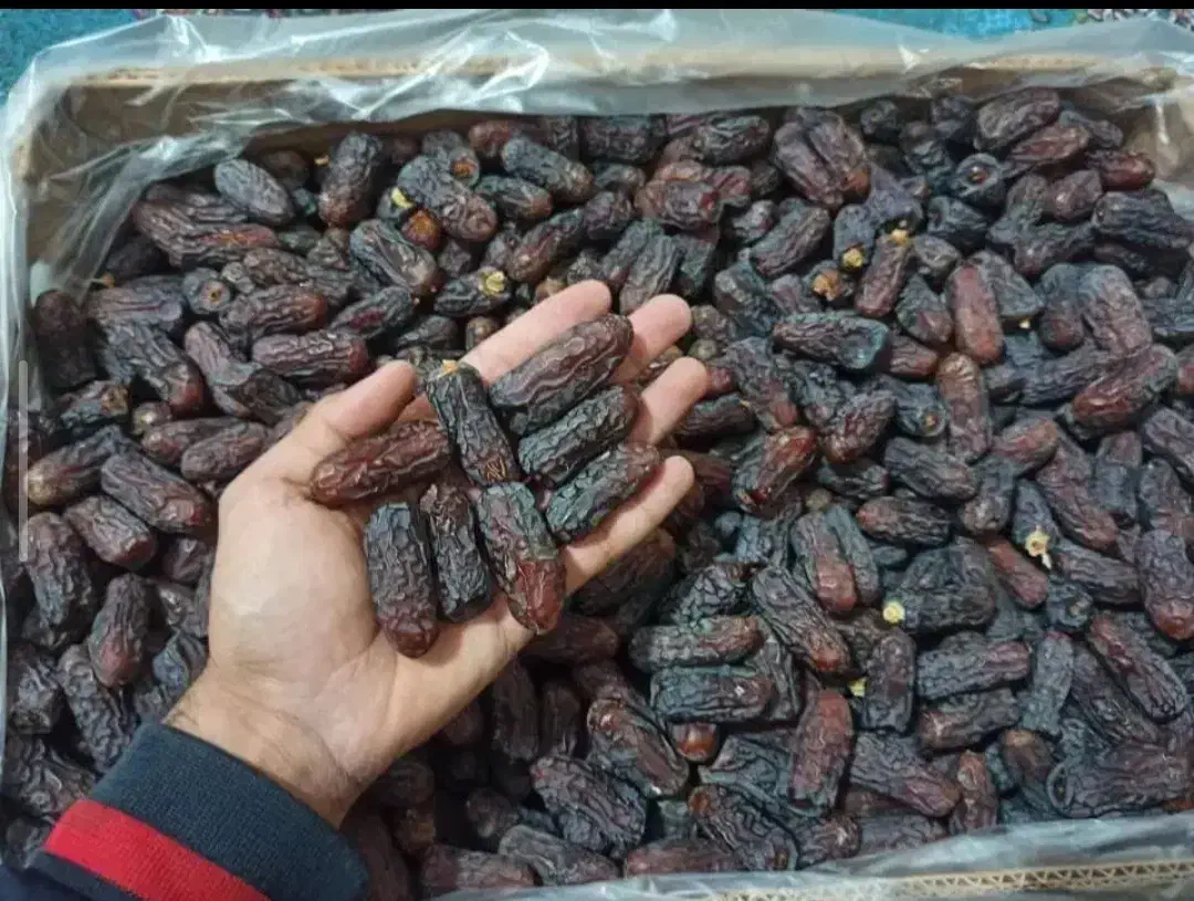 خرمای برندیک جنوب حاجیآباد فله|خوردنی و آشامیدنی|حاجی آباد, |دیوار