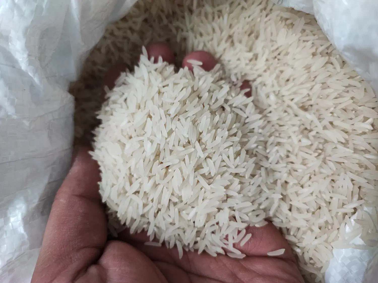 برنج ایرانی مینودشت|خوردنی و آشامیدنی|مشهد, سعد آباد|دیوار