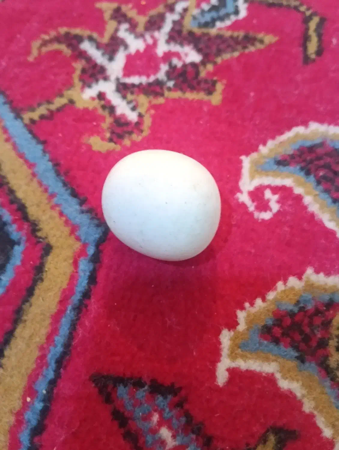 سنگ الماس آسیاب|کلکسیون اشیاء عتیقه|دهاقان, |دیوار