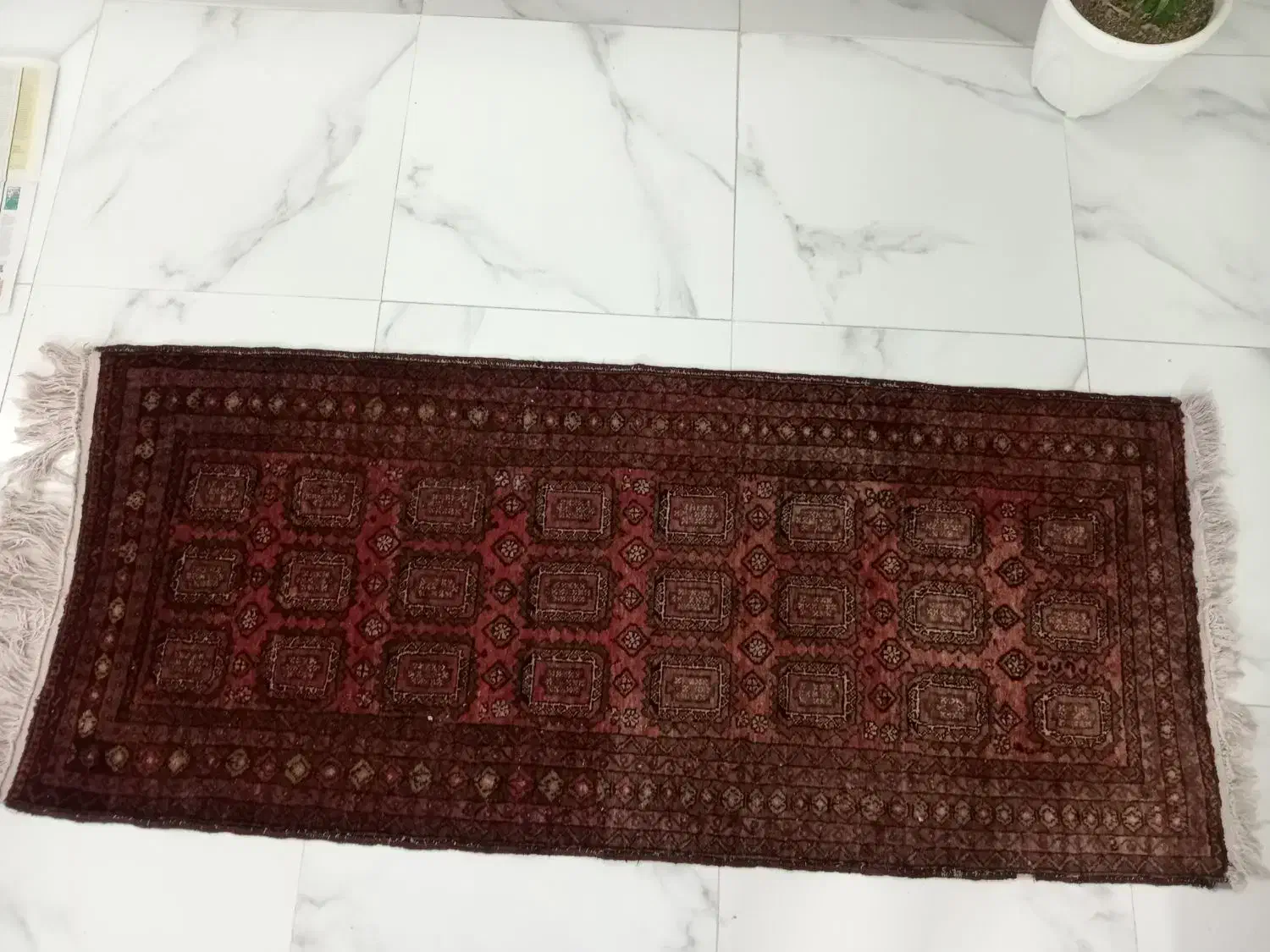 یه عدد|فرش|تربت‌حیدریه, داروپخش|دیوار
