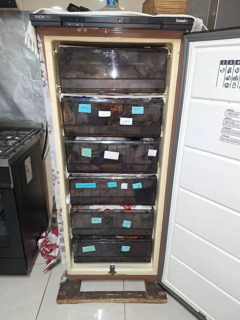 فریزر|یخچال و فریزر|شیراز, تندگویان|دیوار