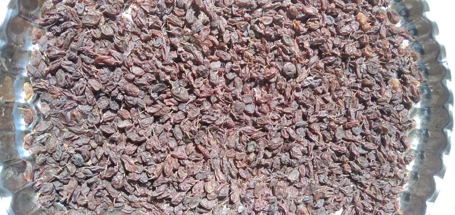 کشمش آفتابی|خوردنی و آشامیدنی|شهرکرد, |دیوار