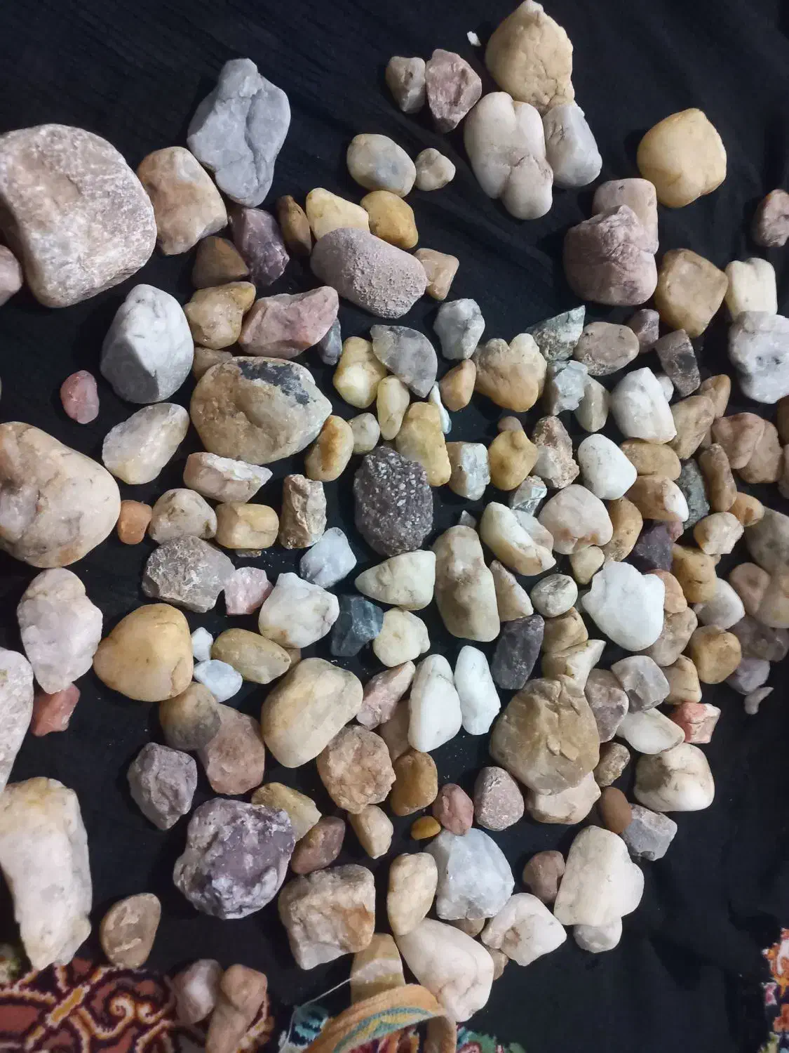 سنگ|جواهرات|تربت جام, کشتارگاه|دیوار