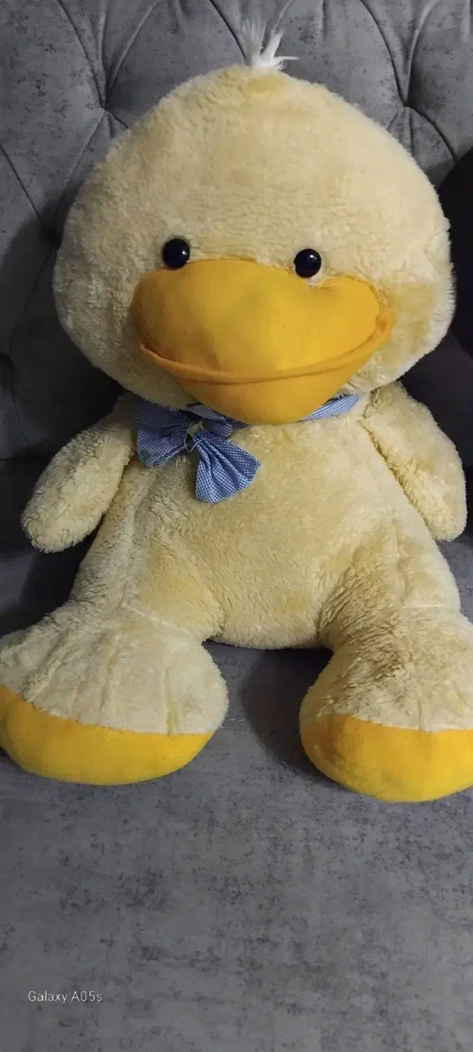 عروسک|اسباب‌بازی بچه|مسجد سلیمان, |دیوار