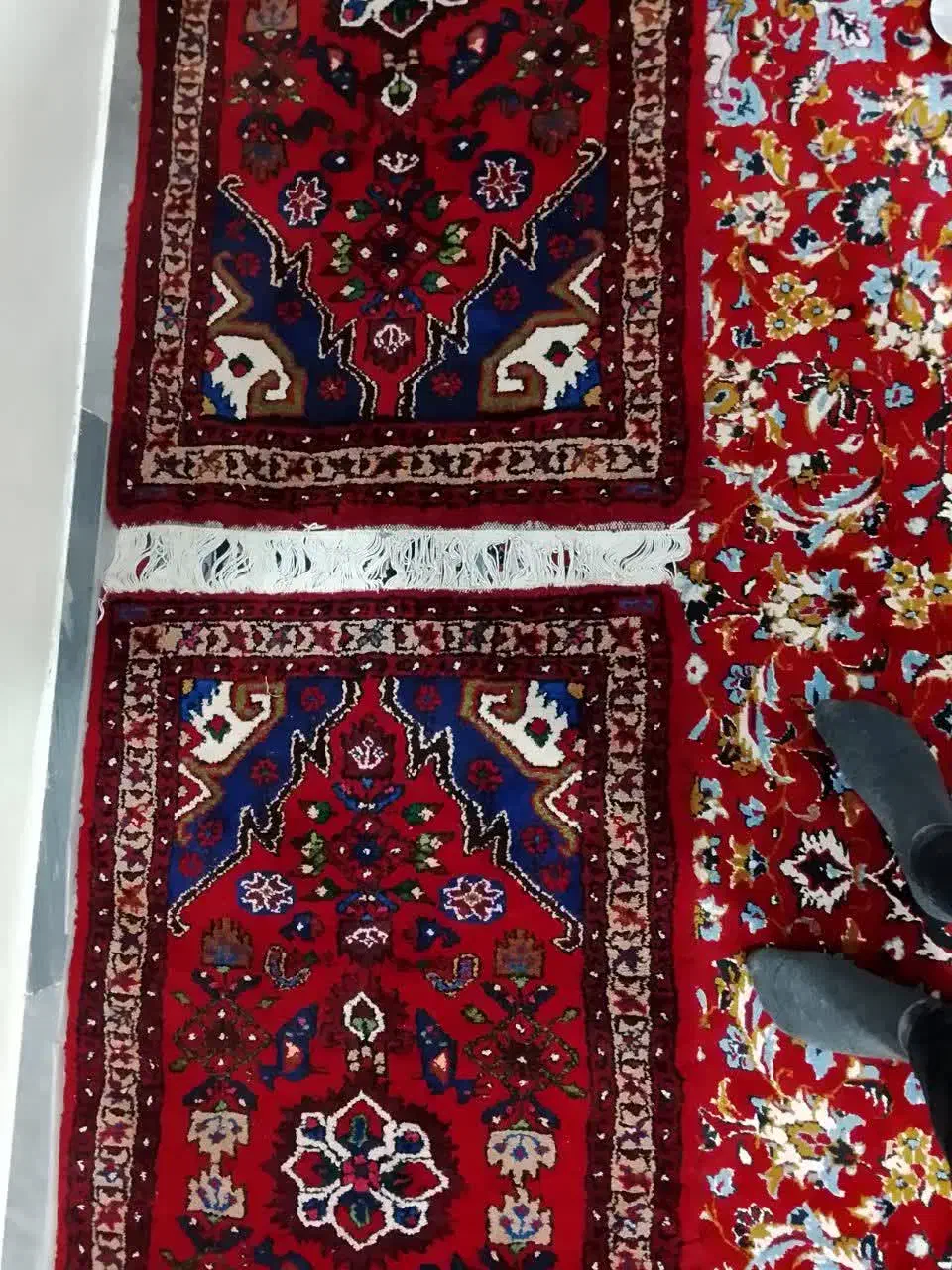 فرش،دست،بافت|فرش|قم, میرزائیه|دیوار