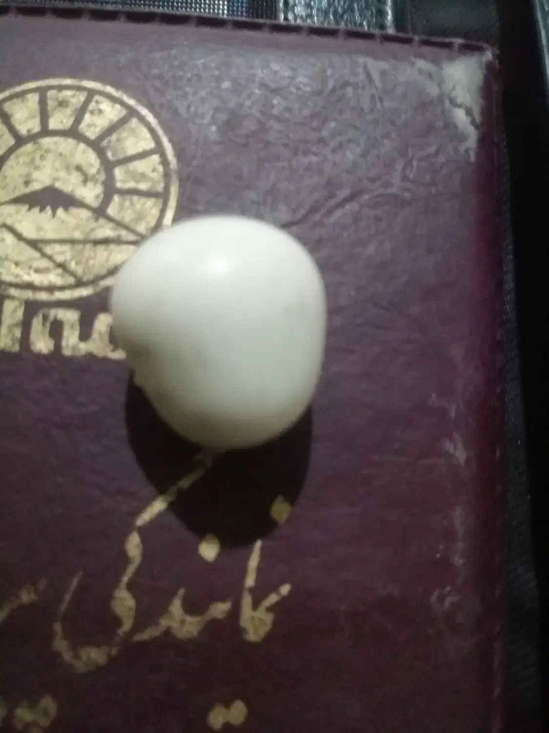 سنگ الماس آسیاب|کلکسیون اشیاء عتیقه|باغ ملک, |دیوار