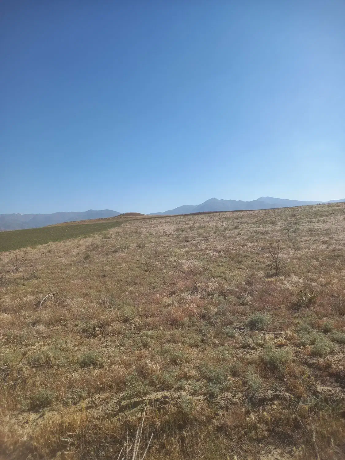 زمین کشاورزی|فروش دفتر صنعتی، کشاورزی، تجاری|همدان, |دیوار