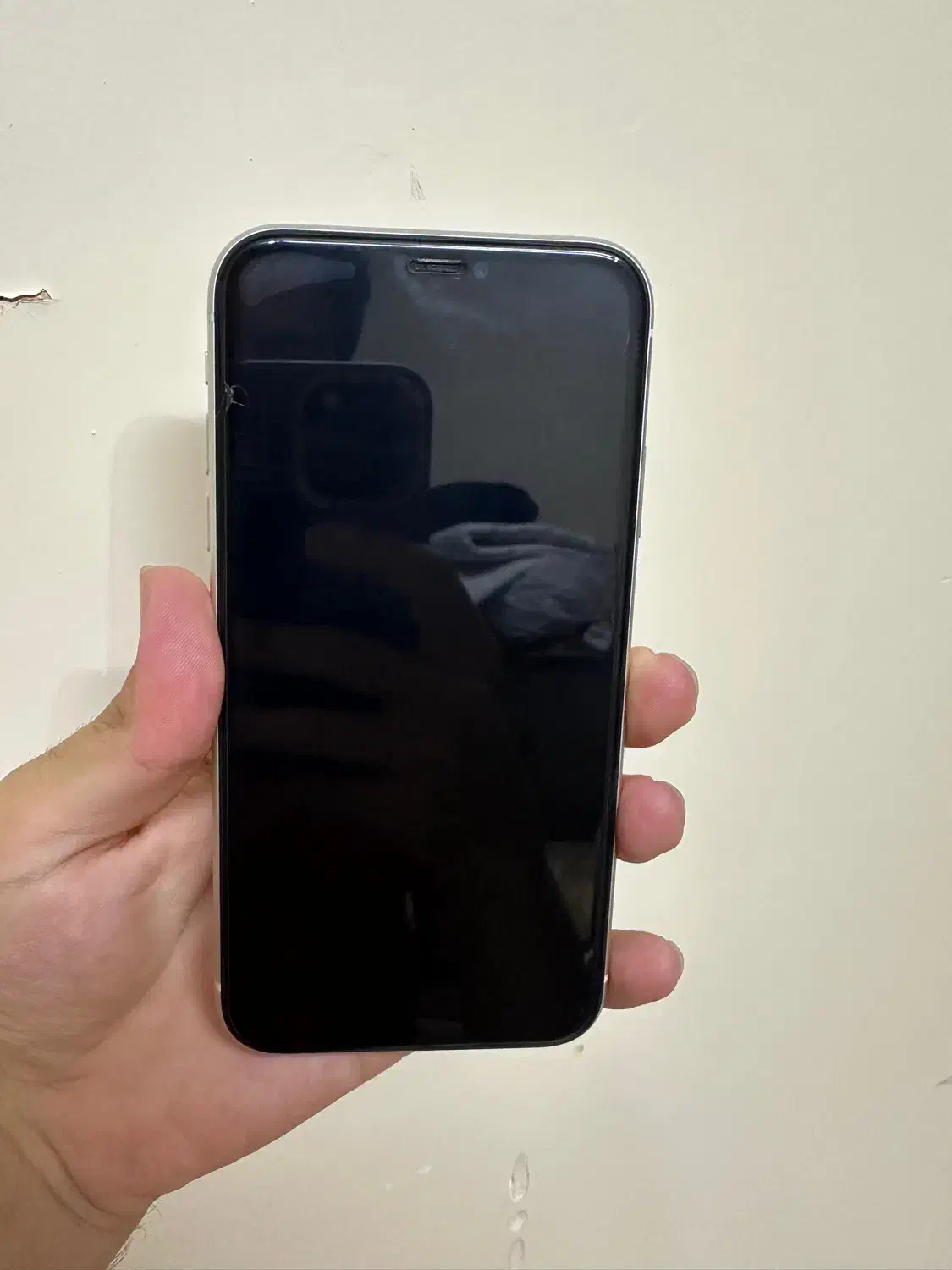 گوشی ایفون 11 / iphon 11 ۱۲۸|موبایل|بیرجند, |دیوار