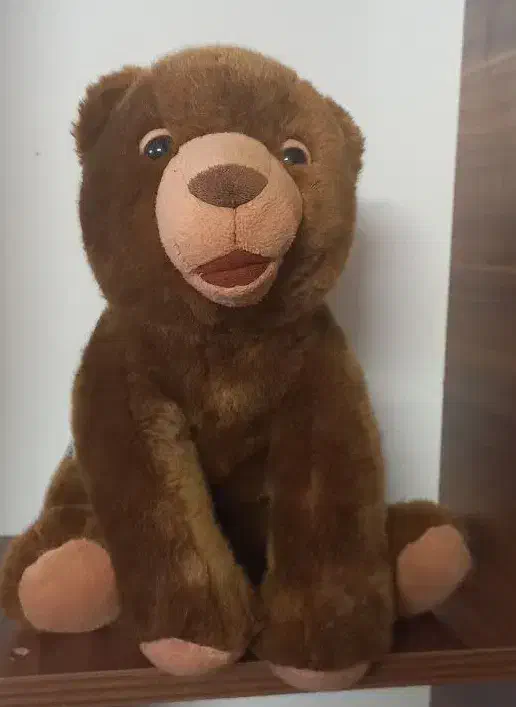 عروسک|اسباب‌بازی بچه|قم, چهار مردان|دیوار