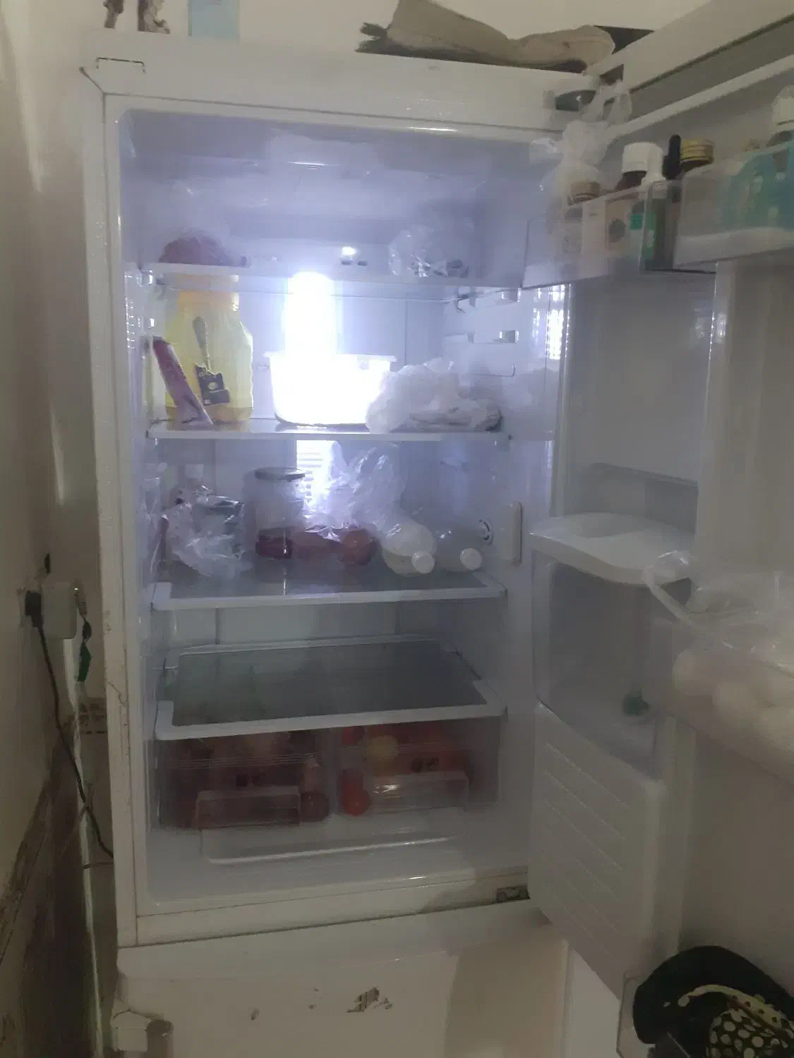 یخچال تمیز|یخچال و فریزر|بندر امام خمینی, |دیوار