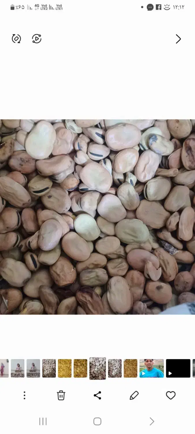 باقلا|خوردنی و آشامیدنی|دره شهر, |دیوار