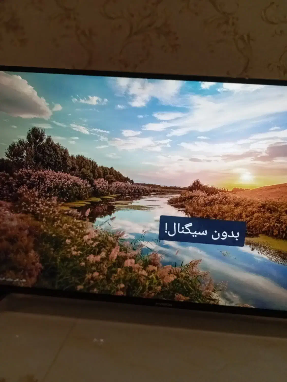 ال ای دی 4kایکس ویژن49|تلویزیون و پروژکتور|مشهد, الهیه|دیوار