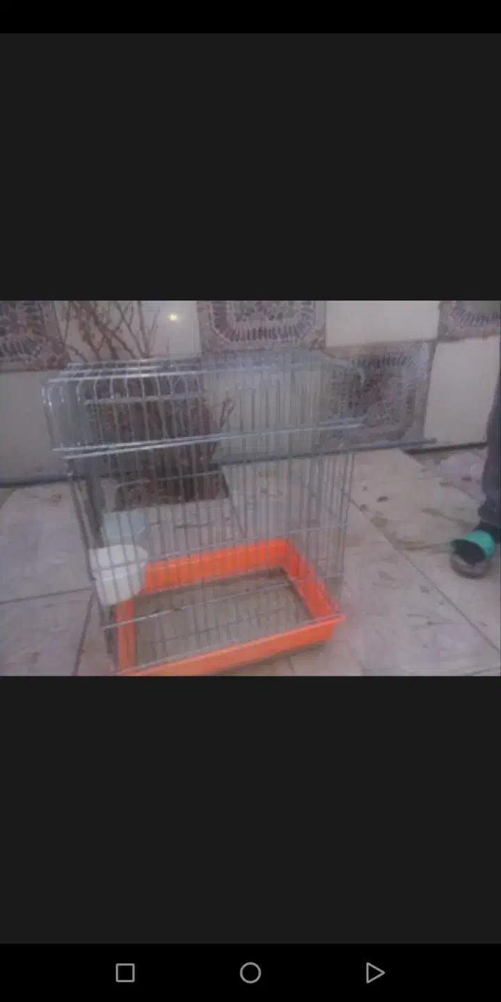 قفس|لوازم جانبی حیوانات|بومهن, |دیوار