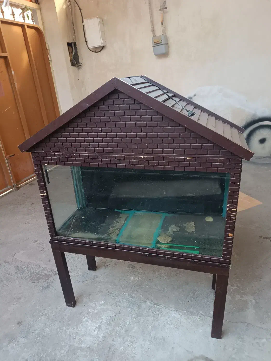 آکواریوم خانگی|ماهی|آمل, |دیوار