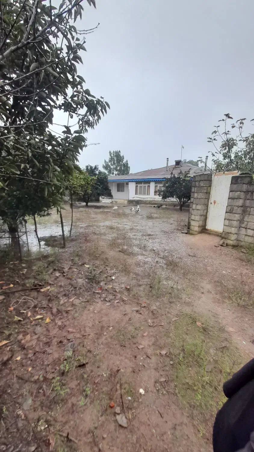 فروش زمین و خانه قدیمی|فروش زمین و ملک کلنگی|رضوانشهر, |دیوار