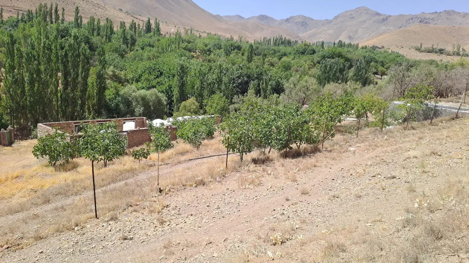 باغ کشاورزی همراه با سوله دامپروری|فروش زمین و ملک کلنگی|تفرش, |دیوار