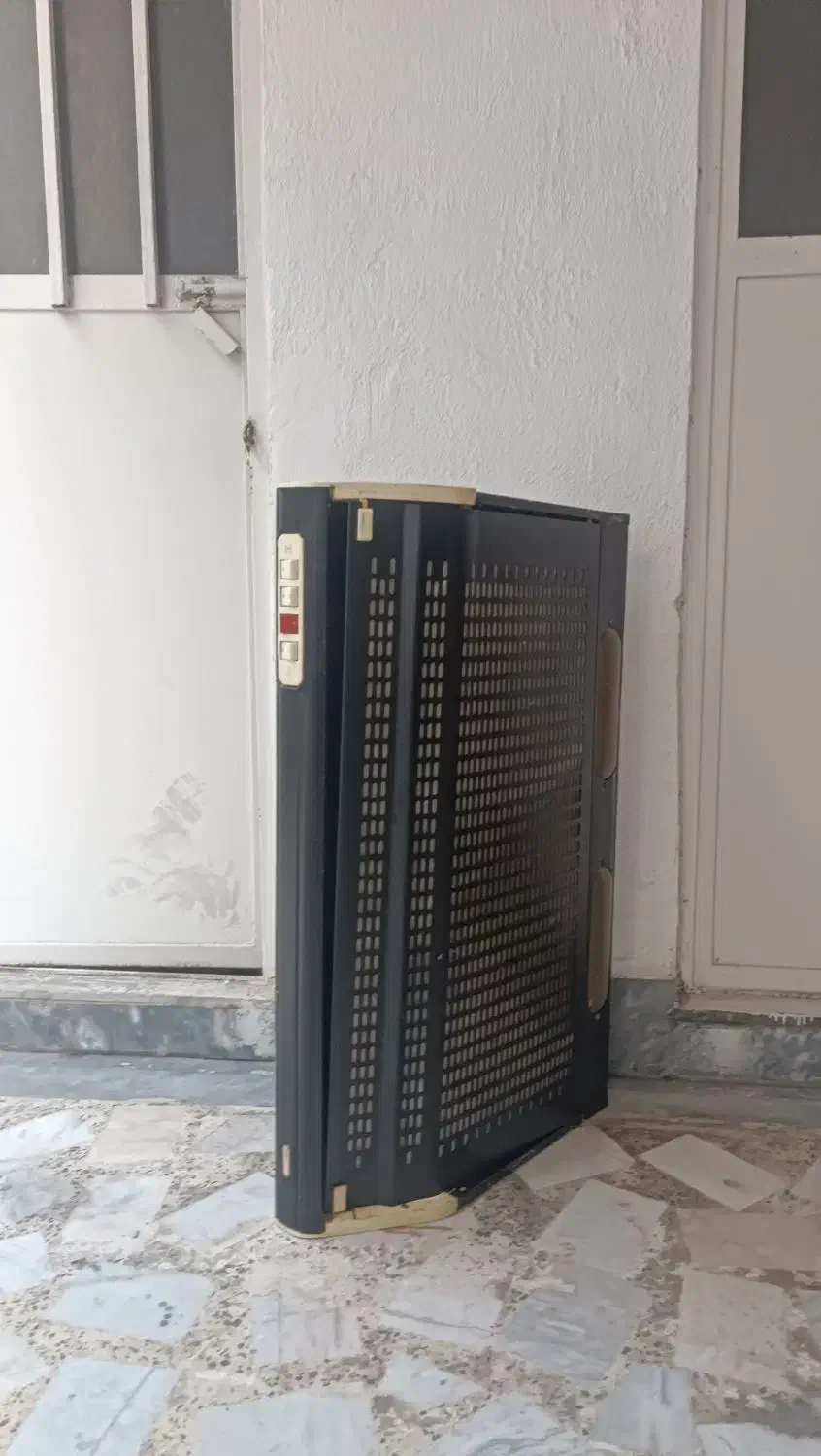 هود|هود|رشت, فلسطین|دیوار