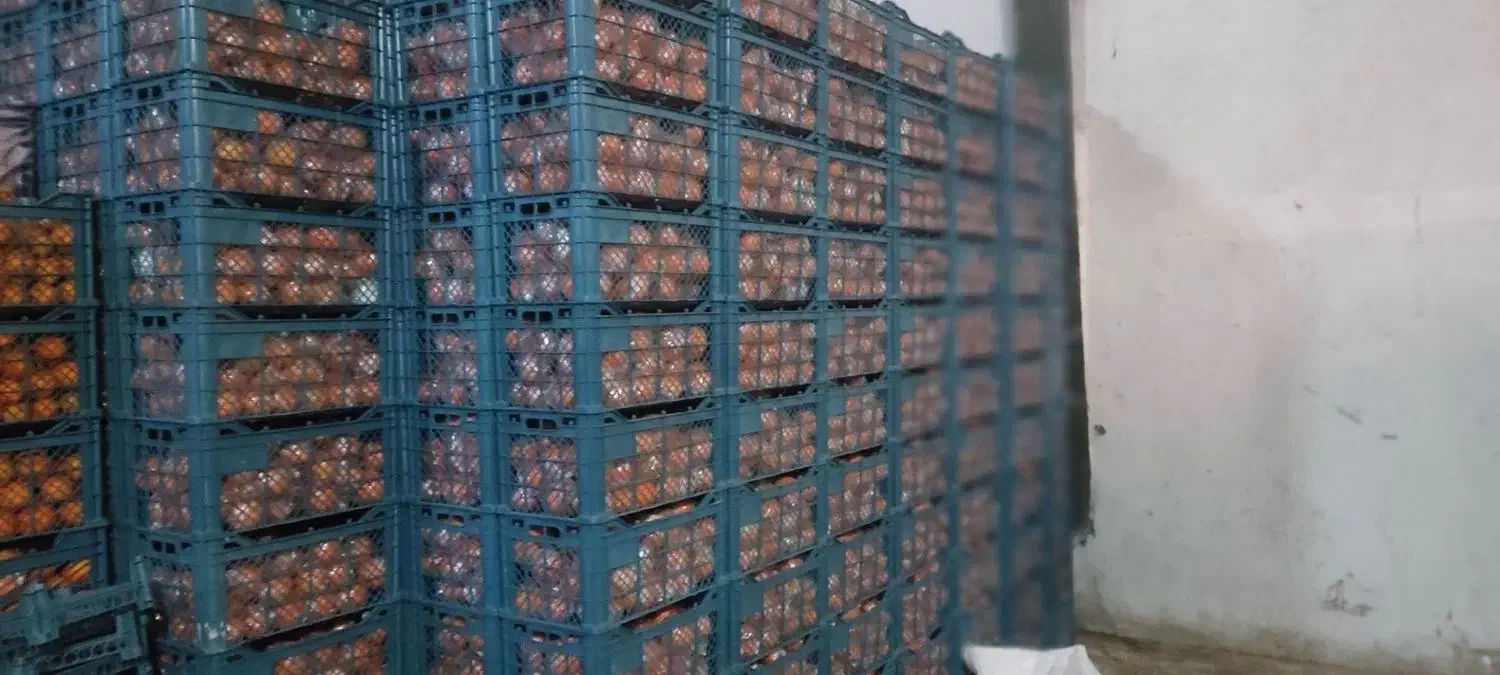 سبد|ظروف نگهدارنده، پلاستیکی، یک‌بارمصرف|سورک, |دیوار