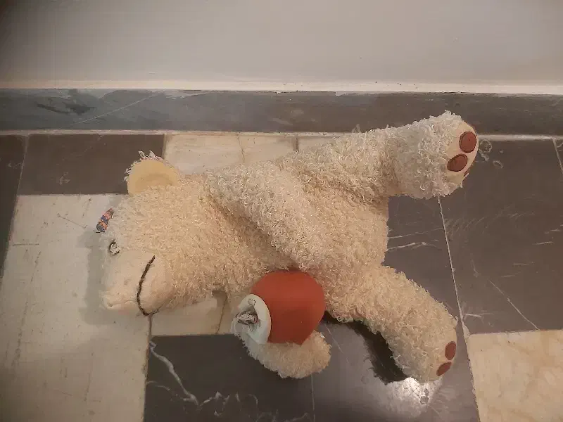 عروسک|اسباب‌بازی بچه|ساری, |دیوار