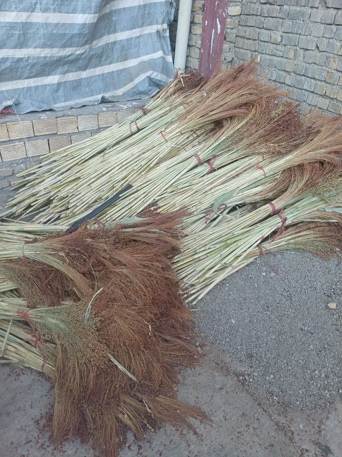 مقداری جارو به صورت دسته تمیز شده|لوازم نظافت|نهاوند, |دیوار