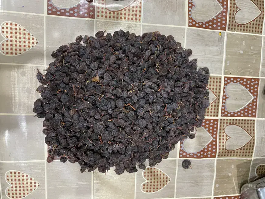 کشمش درجه ۱ بار امساله عمده و خرده|خوردنی و آشامیدنی|هشتگرد, شهرک وحدت|دیوار