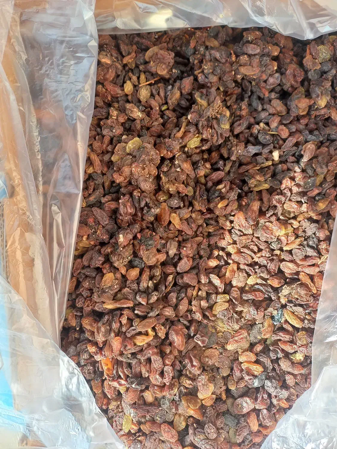 کشمش فروشی|عمدهفروشی|دلیجان, |دیوار