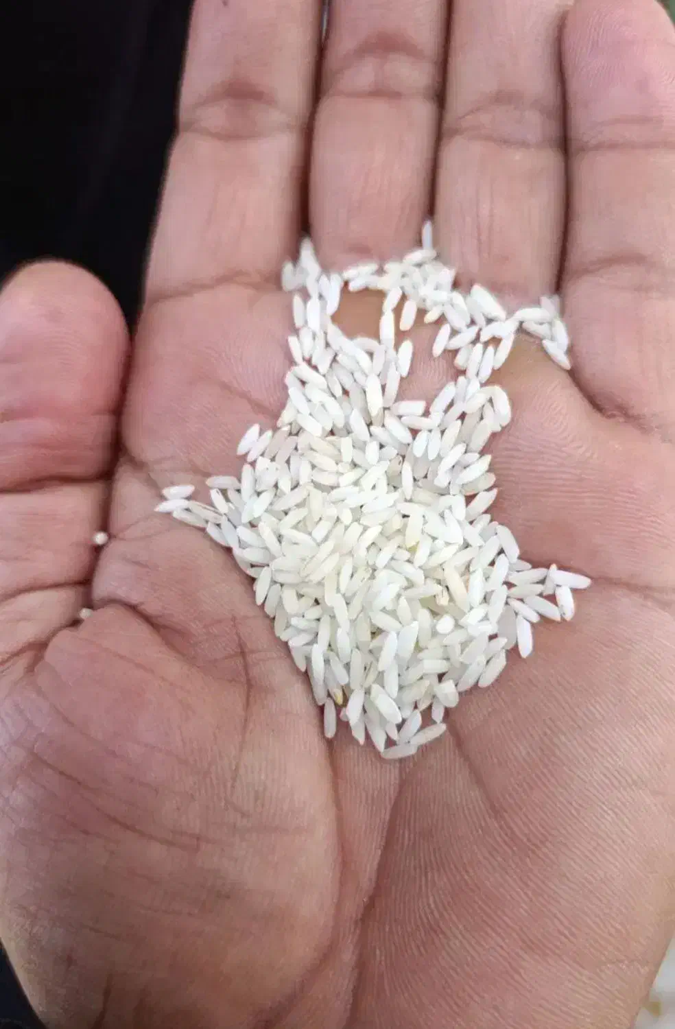 برنج عنبر بو درجه یک|خوردنی و آشامیدنی|اهواز, اهواز|دیوار