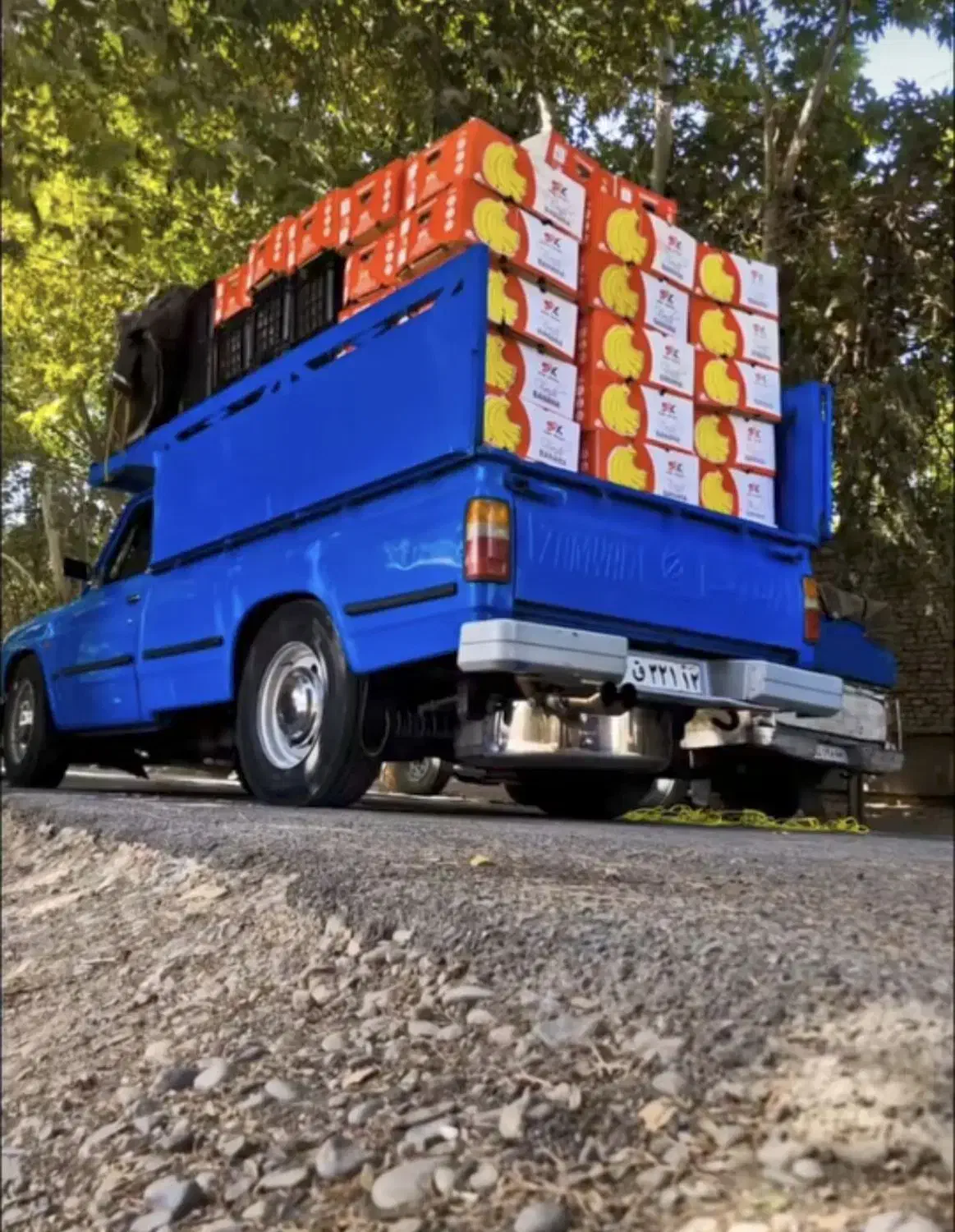 کارتن موزی و کارتن اسباب کشی|عمدهفروشی|گلبهار, شهر جدید گلبهار|دیوار