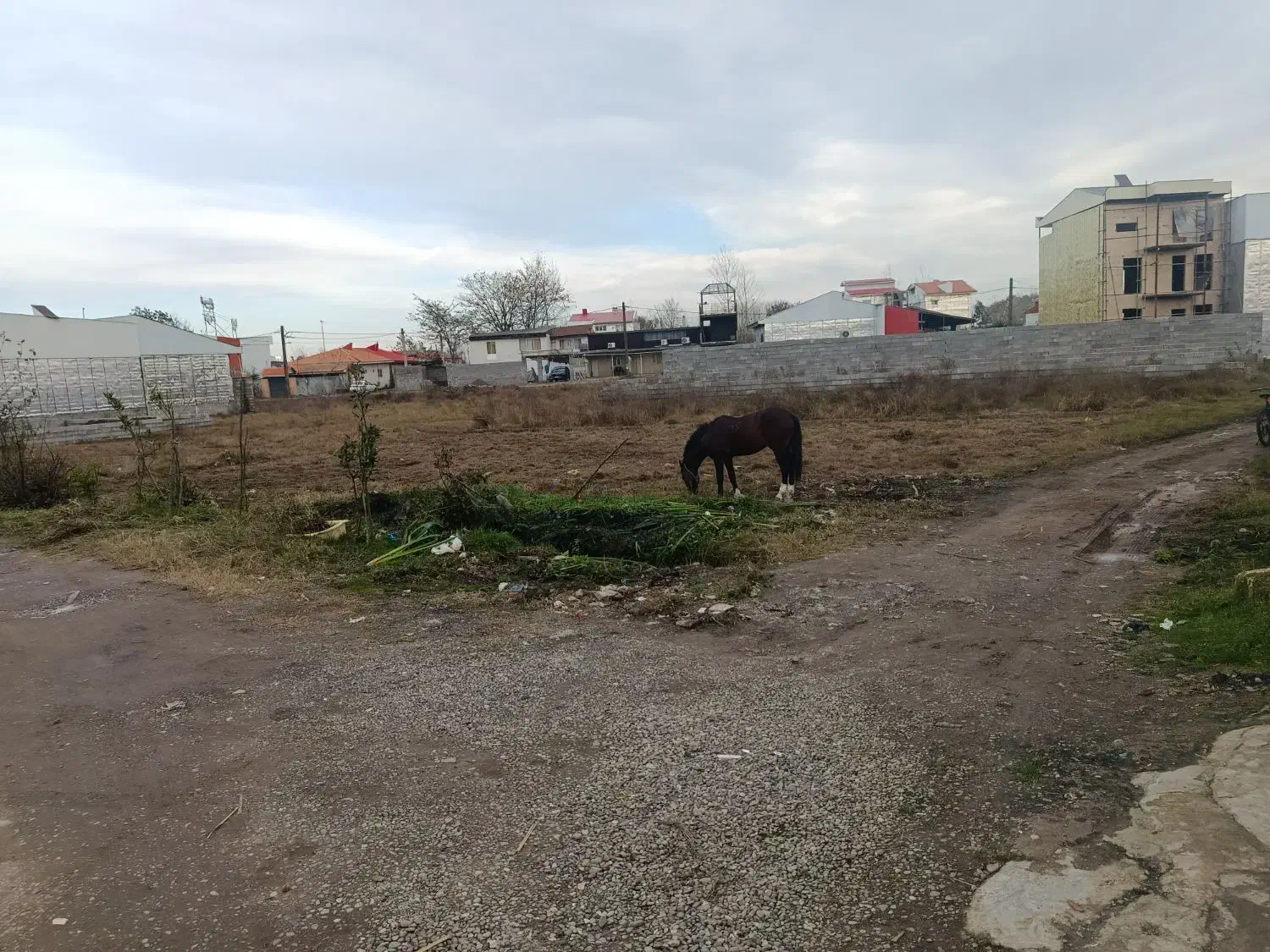 زمین‌|فروش زمین و ملک کلنگی|خمام, |دیوار