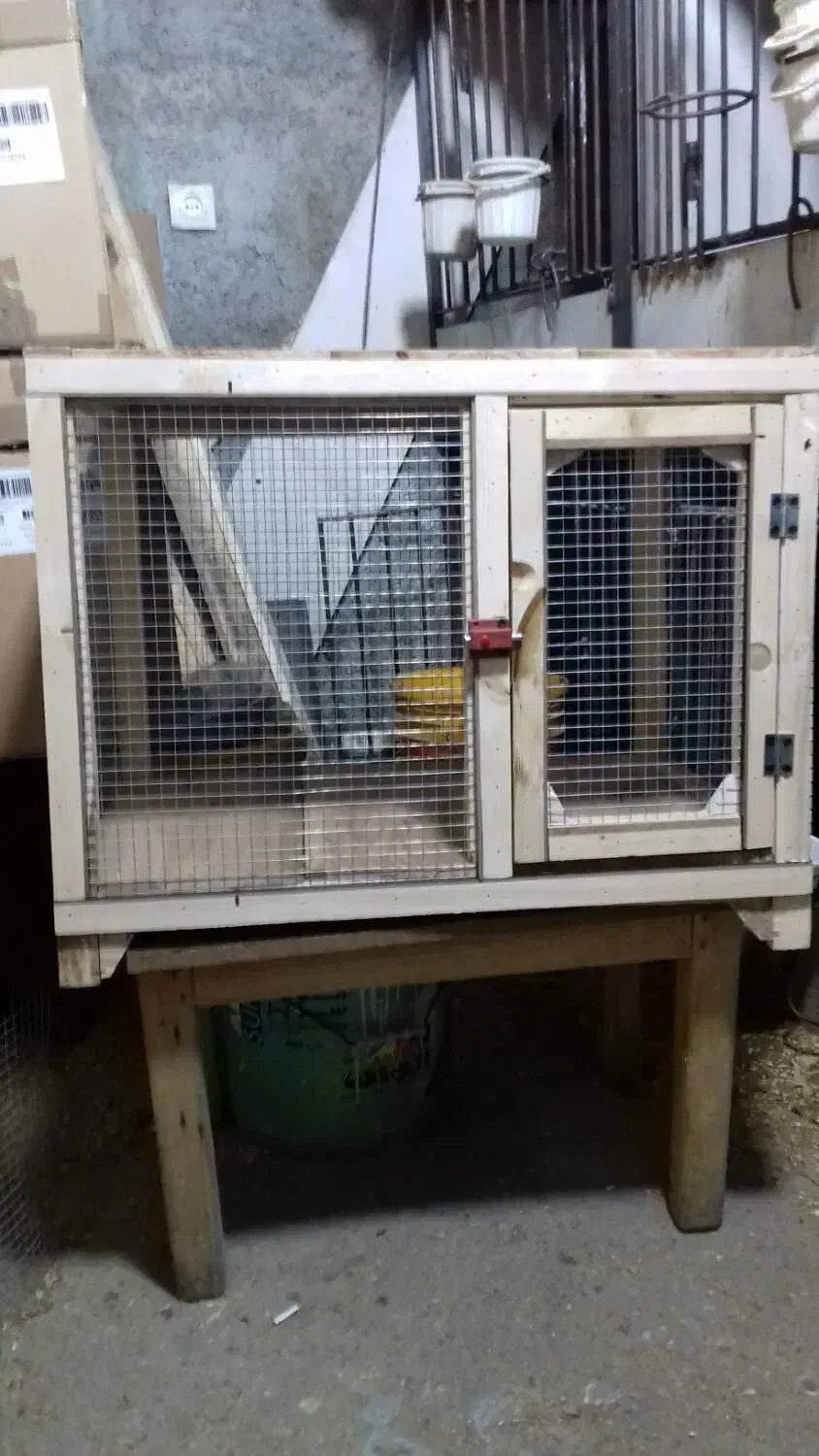 ساخت قفس چوبی|لوازم جانبی حیوانات|سنندج, |دیوار