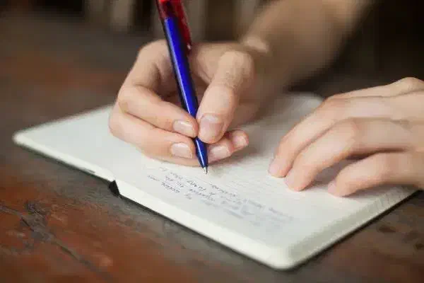جذب مصحح رایتینگ|استخدام آموزشی|شیراز, گلدشت معالی‌آباد|دیوار