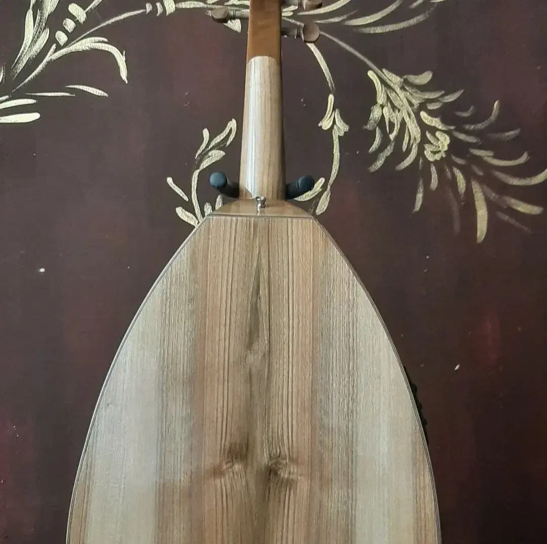 عود الکتروآکوستیک|سازهای سنتی|اصفهان, ملک‌شهر|دیوار