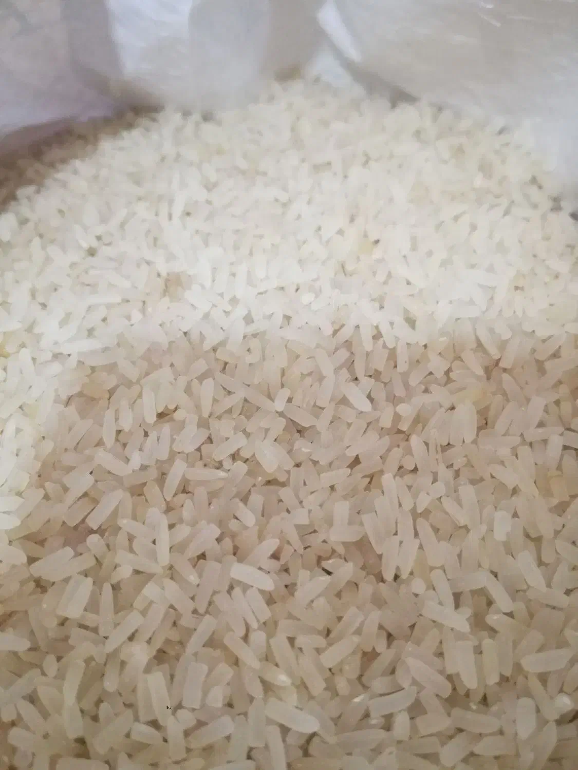 برنج|خوردنی و آشامیدنی|بندر ماهشهر, |دیوار