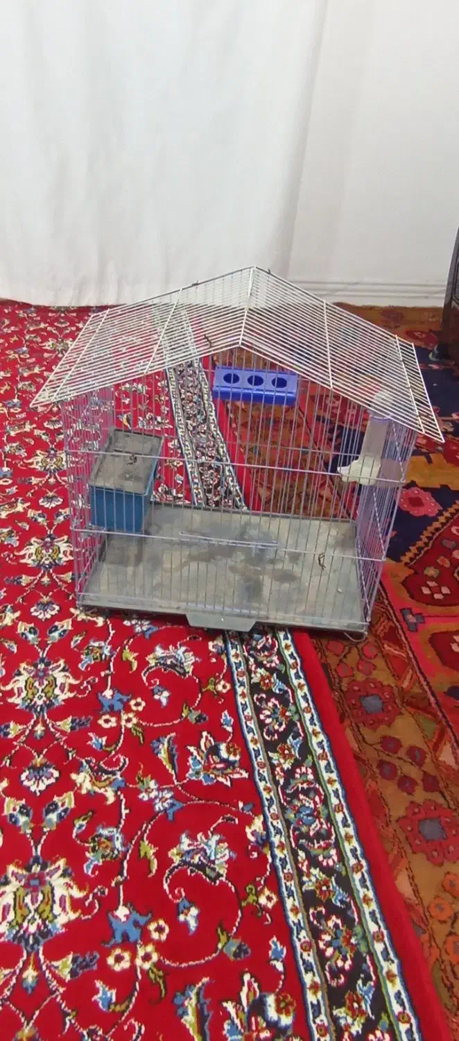قفسه پرنده|لوازم جانبی حیوانات|پارس‌آباد, |دیوار
