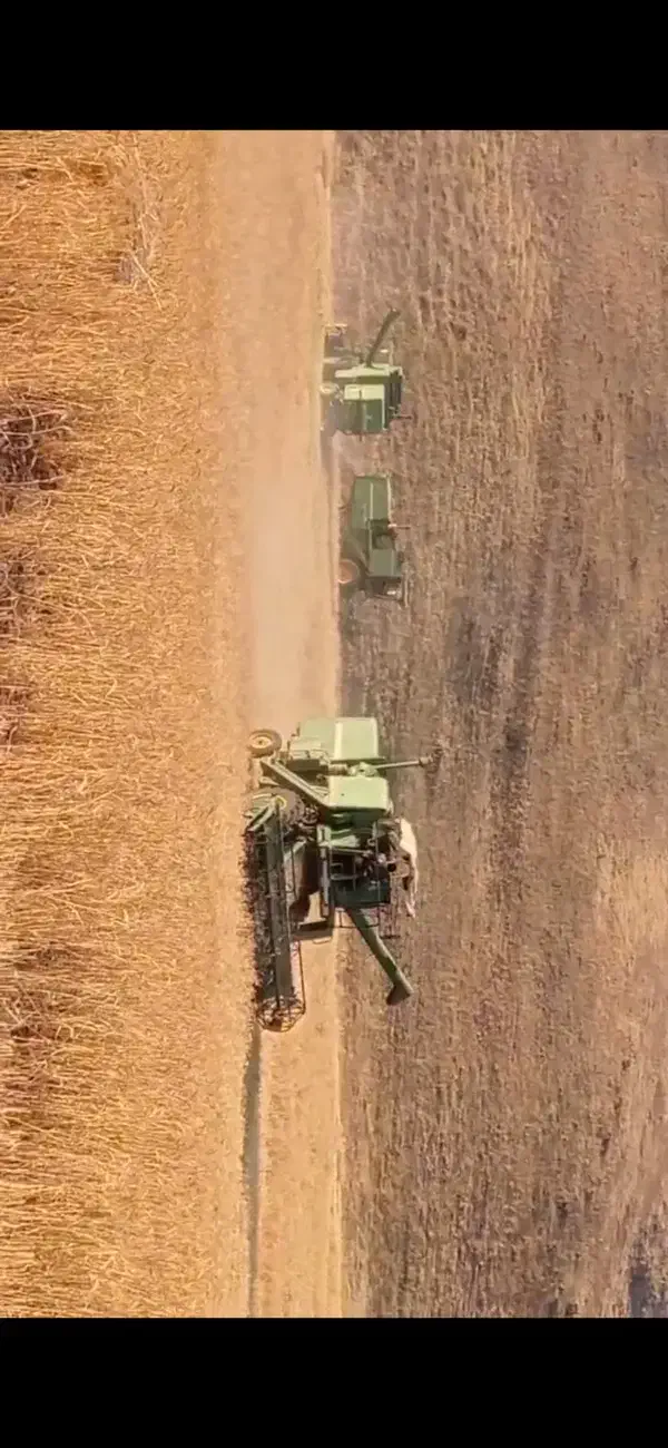 کاه لوبیا وگندم|لوازم جانبی حیوانات|کلاردشت, |دیوار