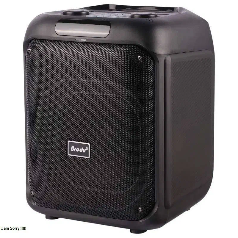 اسپیکر بلوتوثی برودو BTS 2107 به همراه میکروفون|سیستم صوتی خانگی|اهواز, زیتون کارمندی|دیوار