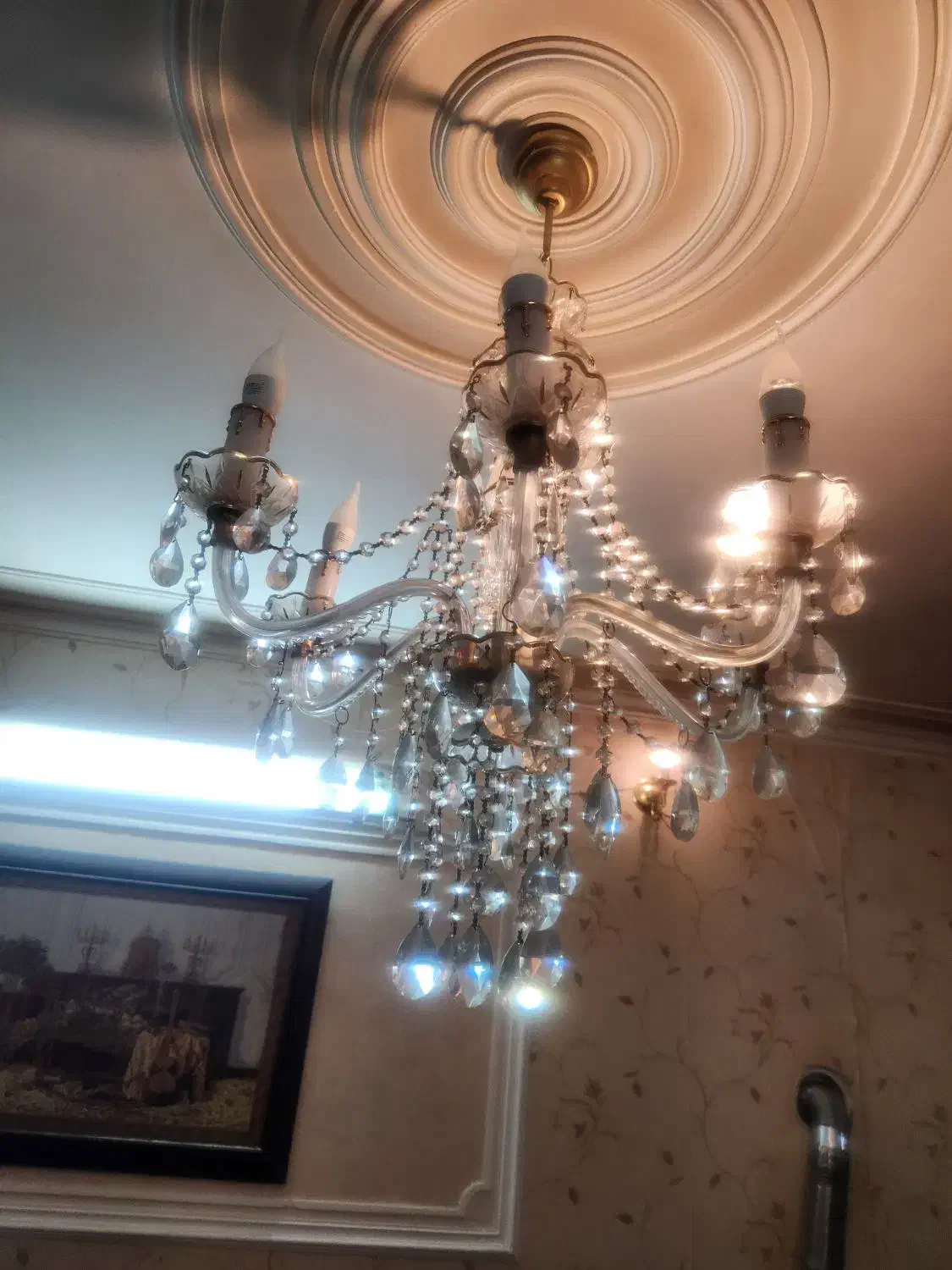 لوستر 6 شاخه|لوستر و چراغ آویز|زنجان, |دیوار