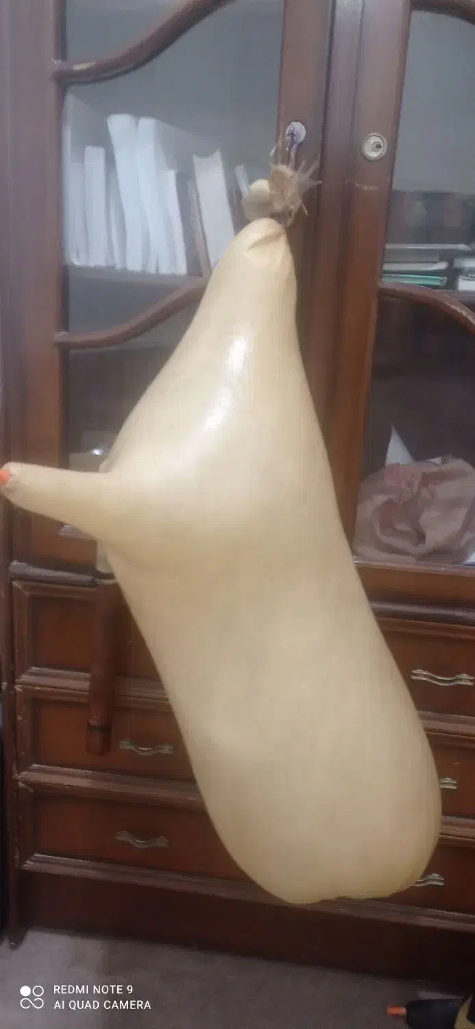 نی انبان کوک 7- بم بم|سازهای بادی|بندر گناوه, |دیوار