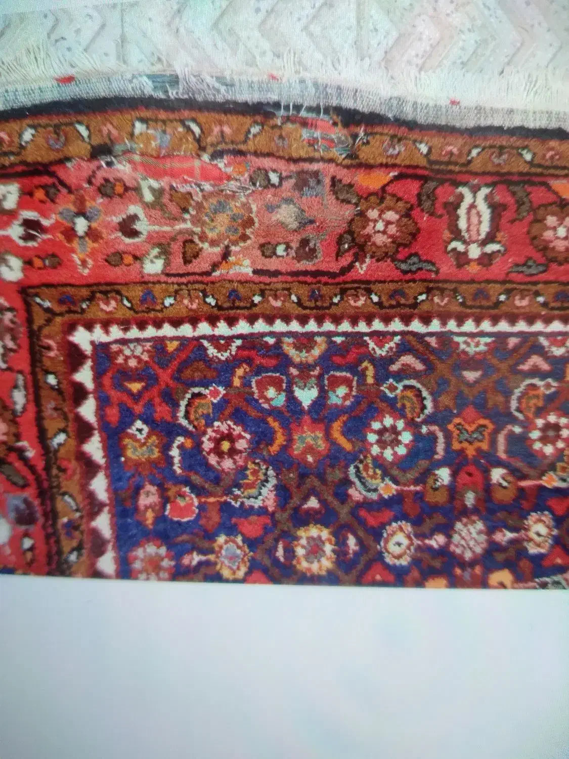 فرش دستباف گوشت دار اراک|فرش|همدان, |دیوار