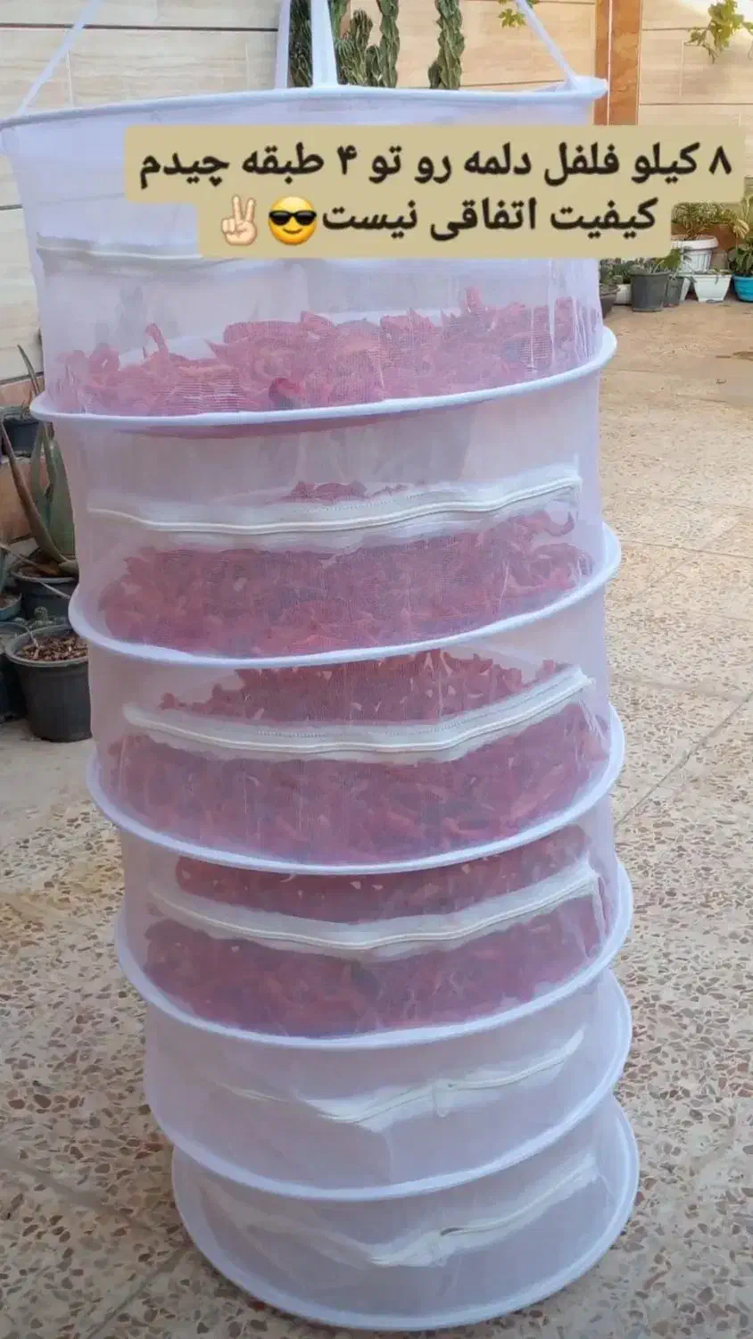 توری میوه و سبزی خشک کن طبقاتی|صنایع دستی و سایر لوازم تزئینی|شیراز, شهرک گلستان|دیوار