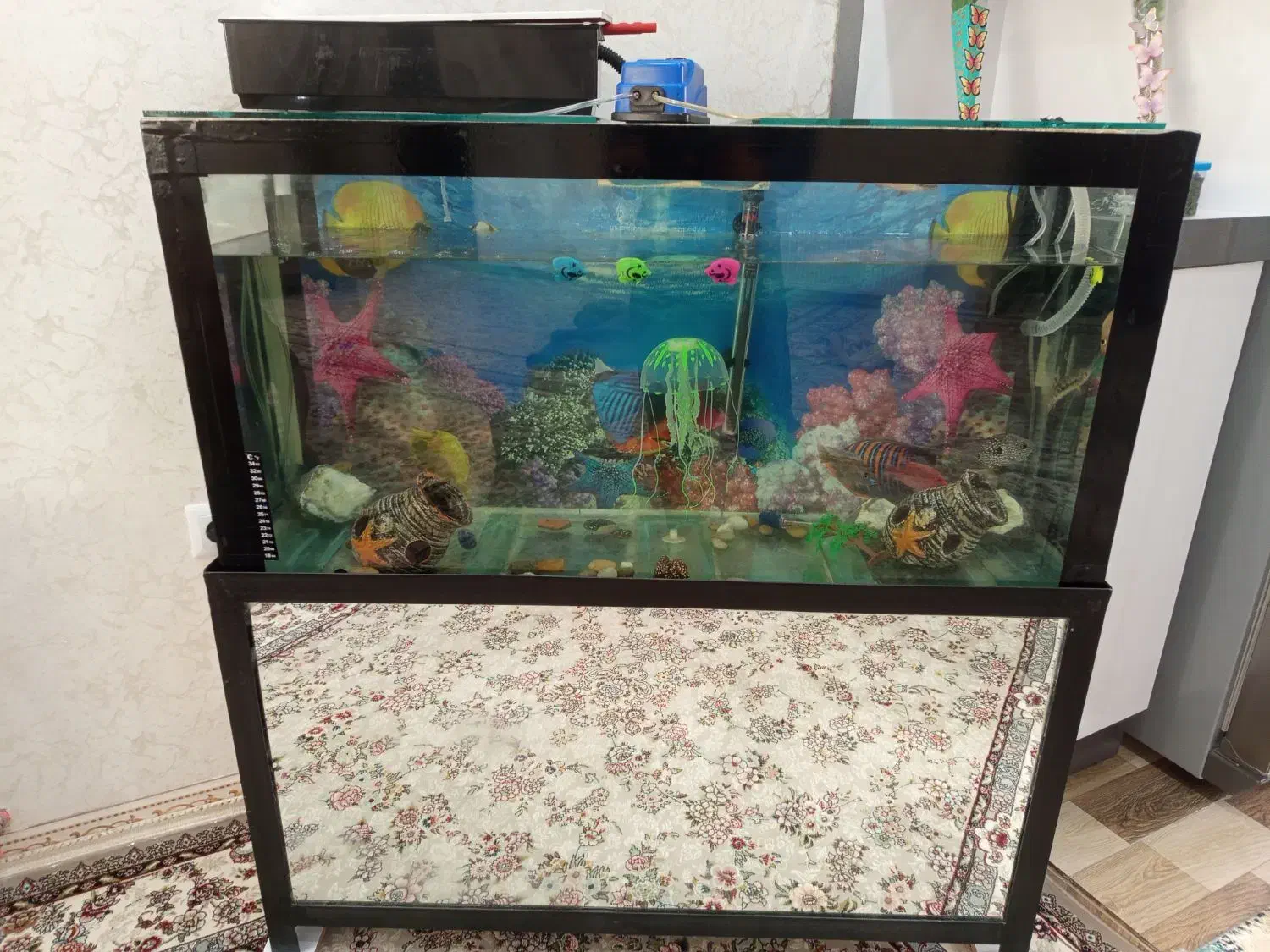 آکواریوم|ماهی|سنندج, |دیوار