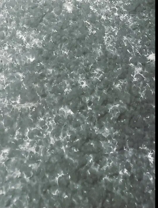 کود کمپوست|خدمات باغبانی و درختکاری|گنبد کاووس, |دیوار