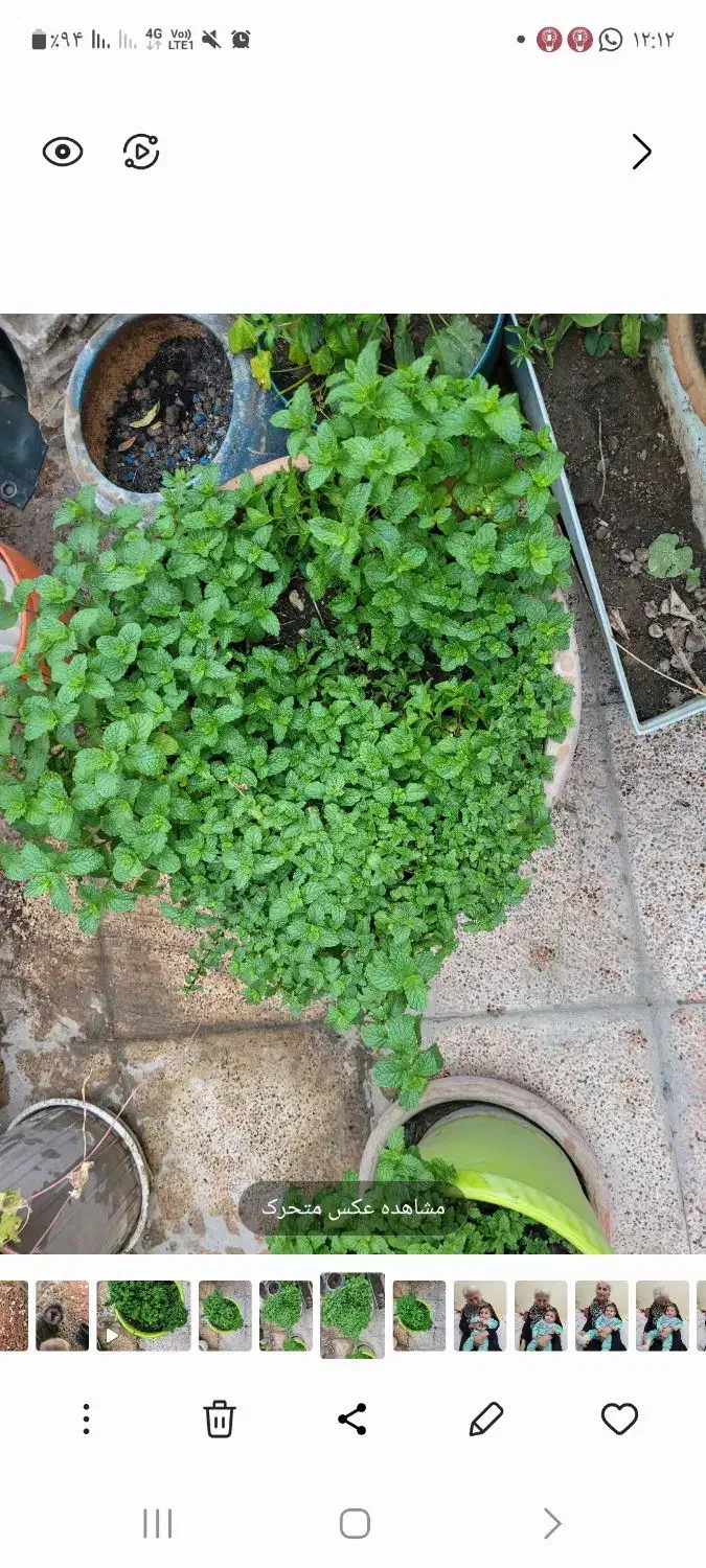 نظافت پرندگان و منزل|استخدام سرایداری و نظافت|تهران, جنتآباد مرکزی|دیوار